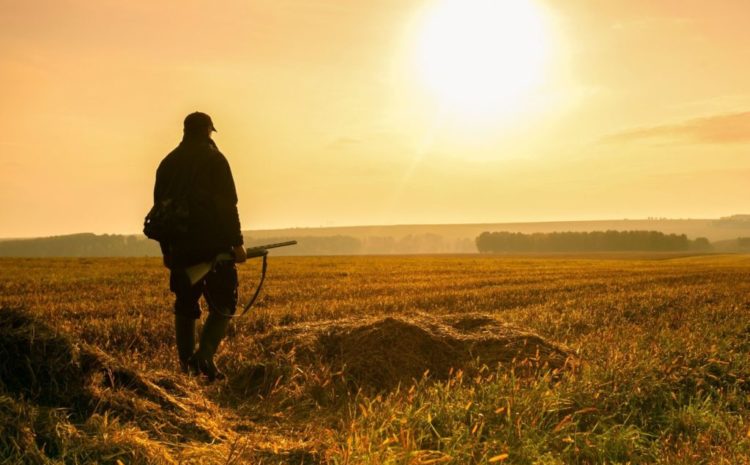 Przedłużenie dzierżaw obwodów w Sejmie